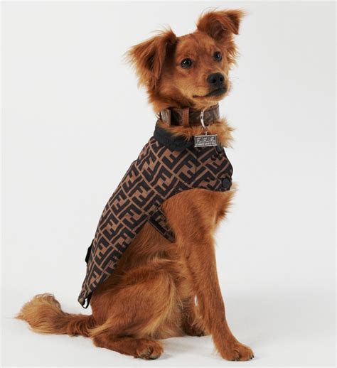 fendi dog clothes|who owns fendi clothing.